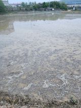 팜모닝 벼·영농일지 게시글 이미지