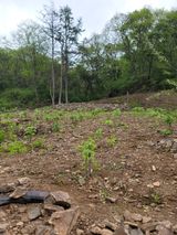 팜모닝 기타작물·영농일지 게시글 이미지