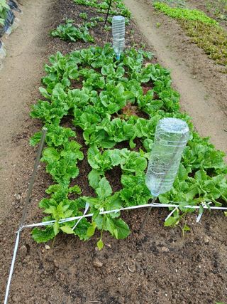 사과18677님의 기타작물 · 영농일지 작성글 사진