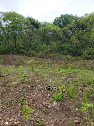 Kbcn님의 기타작물 · 영농일지 작성글 사진