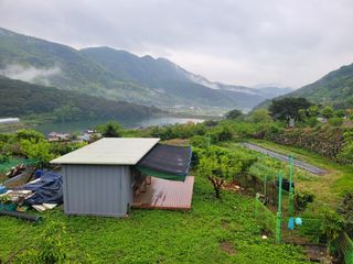 돌담향기님의 기타작물 · 영농일지 작성글 사진