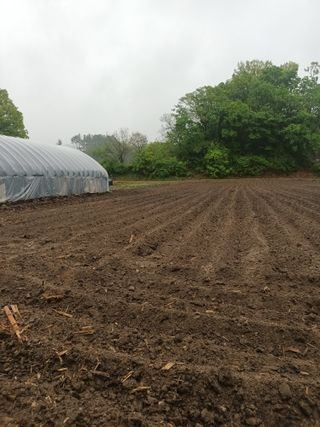 이상근 님의 기타작물 · 영농일지 작성글 사진