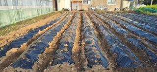 박산하님의 기타작물 · 영농일지 작성글 사진