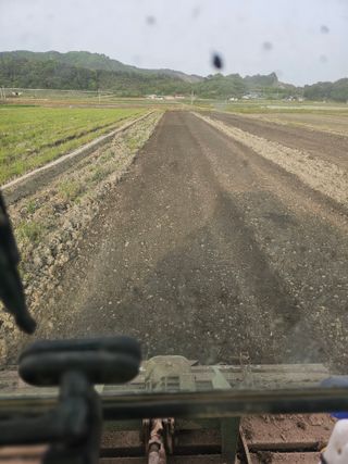 권정식님의 벼 · 영농일지 작성글 사진