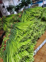 팜모닝 마늘·영농일지 게시글 이미지