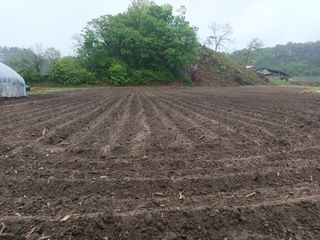 이상근 님의 기타작물 · 영농일지 작성글 사진