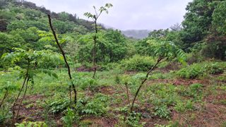 수기님의 기타작물 · 영농일지 작성글 사진