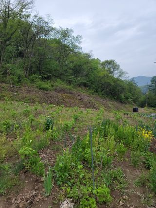 Kbcn님의 기타작물 · 영농일지 작성글 사진