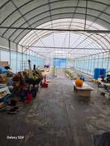 팜모닝 고추·영농일지 게시글 이미지