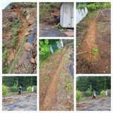 팜모닝 기타작물·영농일지 게시글 이미지