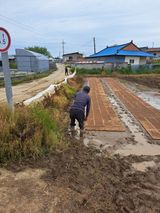 팜모닝 마늘·영농일지 게시글 이미지