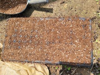 예인화원와이너리님의 기타작물 · 영농일지 작성글 사진