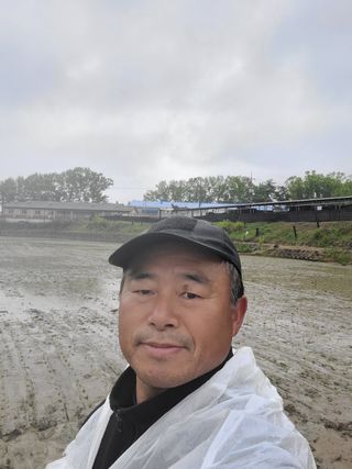정지덕님의 벼 · 영농일지 작성글 사진