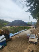 팜모닝 사과·영농일지 게시글 이미지