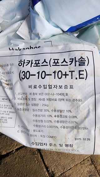 준우아빠님의 오이 · 영농일지 작성글 사진