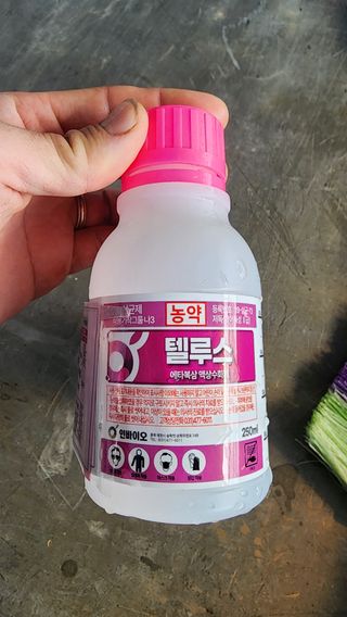 준우아빠님의 오이 · 영농일지 작성글 사진