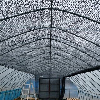 홍순원님의 들깨 · 영농일지 작성글 사진