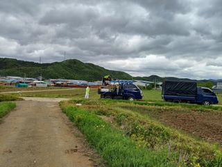 전원수님의 토마토 · 영농일지 작성글 사진