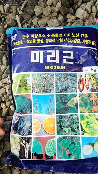 준우아빠님의 오이 · 영농일지 작성글 사진