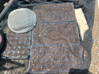 예인화원와이너리님의 기타작물 · 영농일지 작성글 사진