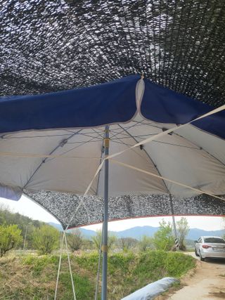 혜기농원(놀이터)님의 사과 · 영농일지 작성글 사진