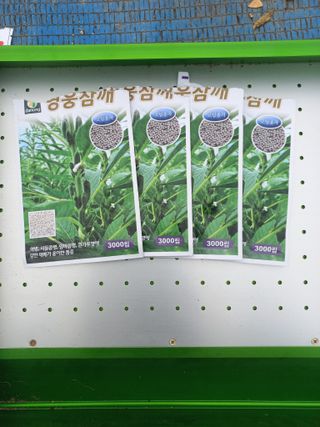 박린님의 참깨 · 영농일지 작성글 사진