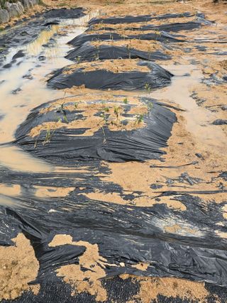 임기억님의 기타작물 · 영농일지 작성글 사진