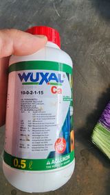 팜모닝 오이·영농일지 게시글 이미지