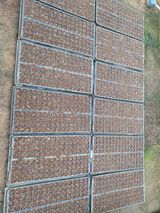 팜모닝 기타작물·영농일지 게시글 이미지