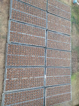 김정태님의 기타작물 · 영농일지 작성글 사진