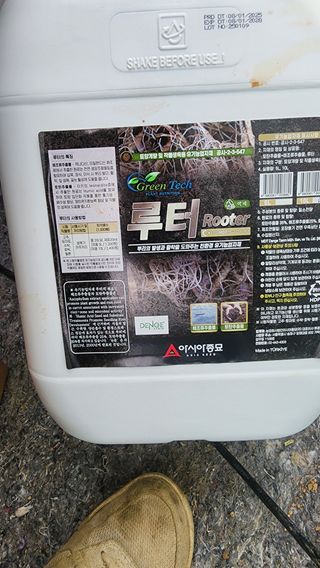 준우아빠님의 오이 · 영농일지 작성글 사진