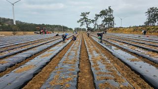 김은아님의 기타작물 · 영농일지 작성글 사진