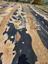 팜모닝 기타작물·영농일지 게시글 이미지