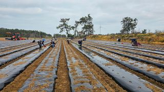 김은아님의 기타작물 · 영농일지 작성글 사진