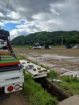 전원수님의 토마토 · 영농일지 작성글 사진