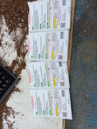 박린님의 참깨 · 영농일지 작성글 사진