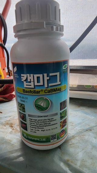 준우아빠님의 오이 · 영농일지 작성글 사진