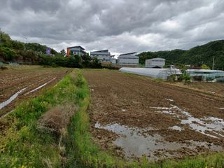 전원수님의 토마토 · 영농일지 작성글 사진