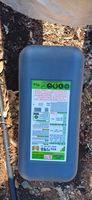 보물섬남자님의 귤 · 영농일지 작성글 사진