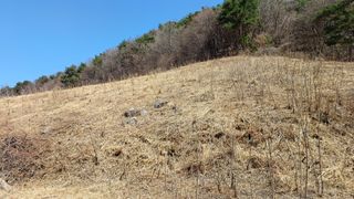 이순기님의 기타작물 · 영농일지 작성글 사진