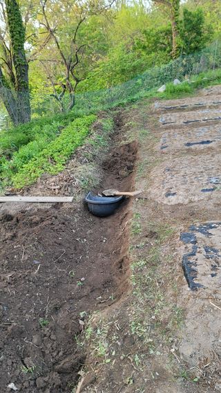 서초농원님의 기타작물 · 영농일지 작성글 사진