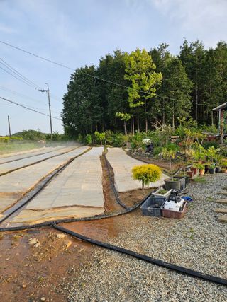 차춘석 님의 기타작물 · 영농일지 작성글 사진