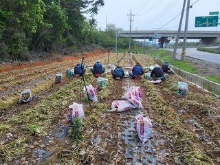 정해원.님의 기타작물 · 영농일지 작성글 사진
