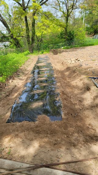 서초농원님의 기타작물 · 영농일지 작성글 사진