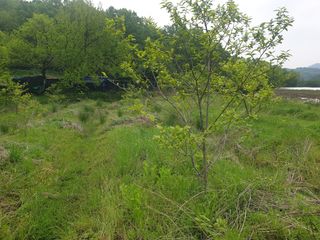 박석중님의 기타작물 · 영농일지 작성글 사진