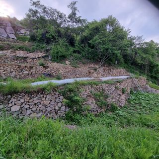 돌담향기님의 기타작물 · 영농일지 작성글 사진