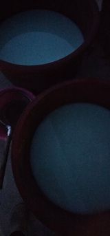 팜모닝 벼·영농일지 게시글 이미지