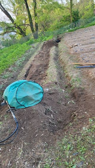 서초농원님의 기타작물 · 영농일지 작성글 사진