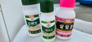 김용희님의 자두 · 영농일지 작성글 사진