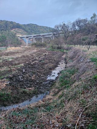 지식농부님의 감 · 영농일지 작성글 사진
